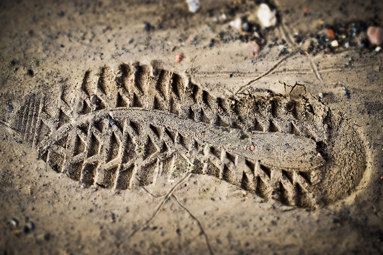 découvrez l'empreinte carbone, un indicateur clé des impacts environnementaux de nos activités quotidiennes. apprenez comment la réduire et contribuer à la lutte contre le changement climatique.