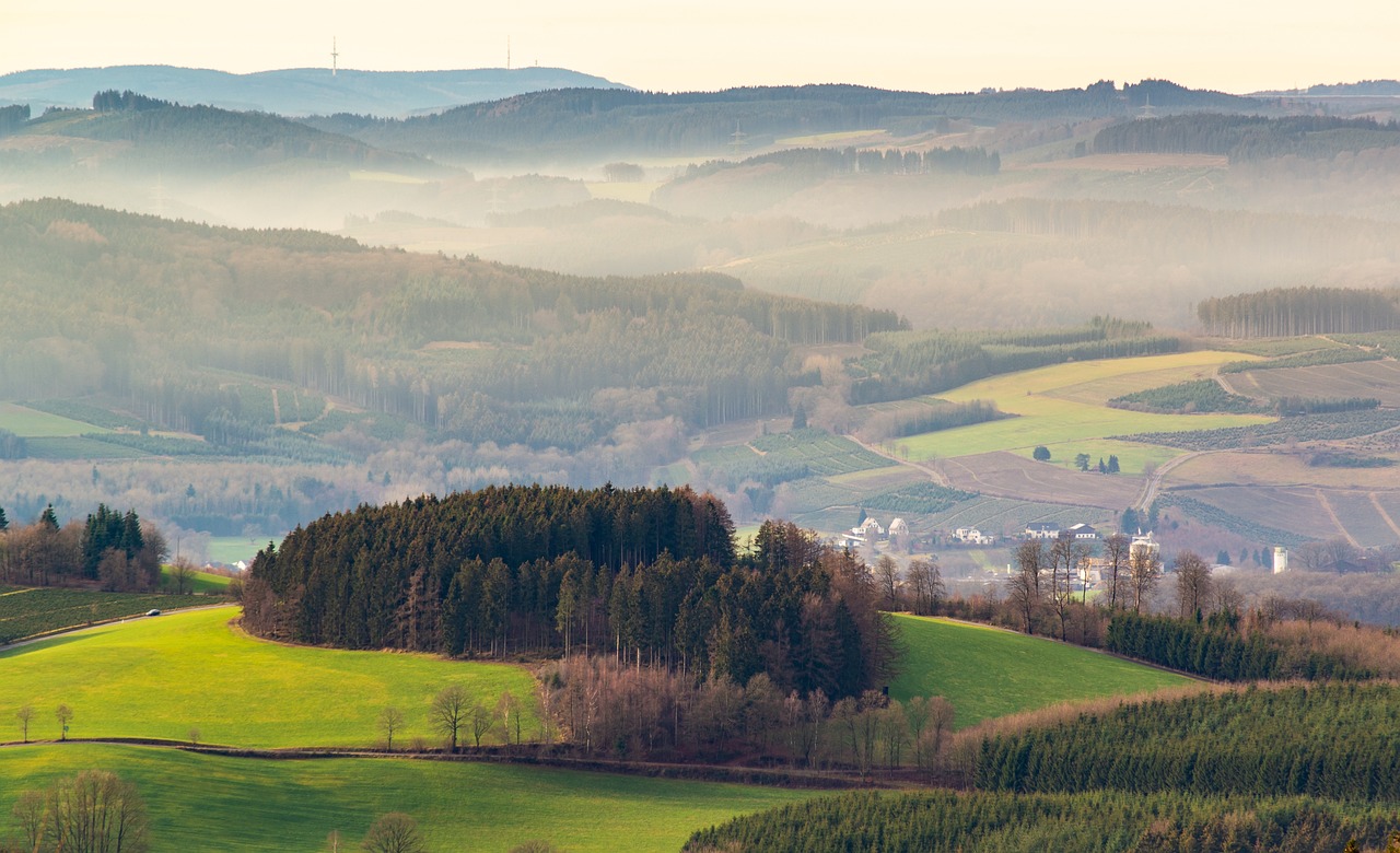 plongez dans l'univers de l'environnement : découvrez l'importance de la protection de notre planète, les enjeux écologiques actuels, et comment chacun peut contribuer à un avenir durable grâce à des actions simples et efficaces.