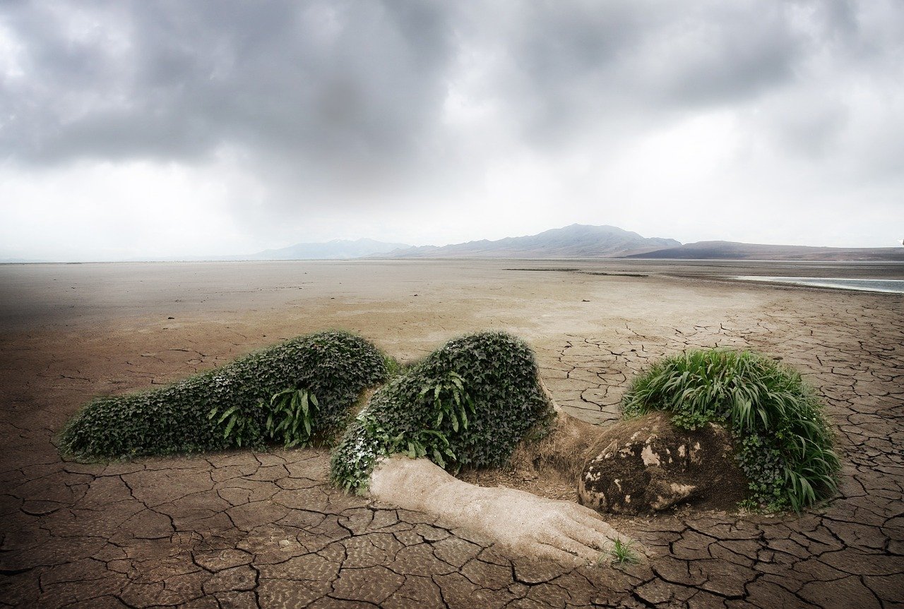 découvrez l'importance de la protection de l'environnement, les initiatives pour préserver notre planète, et comment chaque individu peut contribuer à un avenir durable. agissons ensemble pour un monde meilleur.