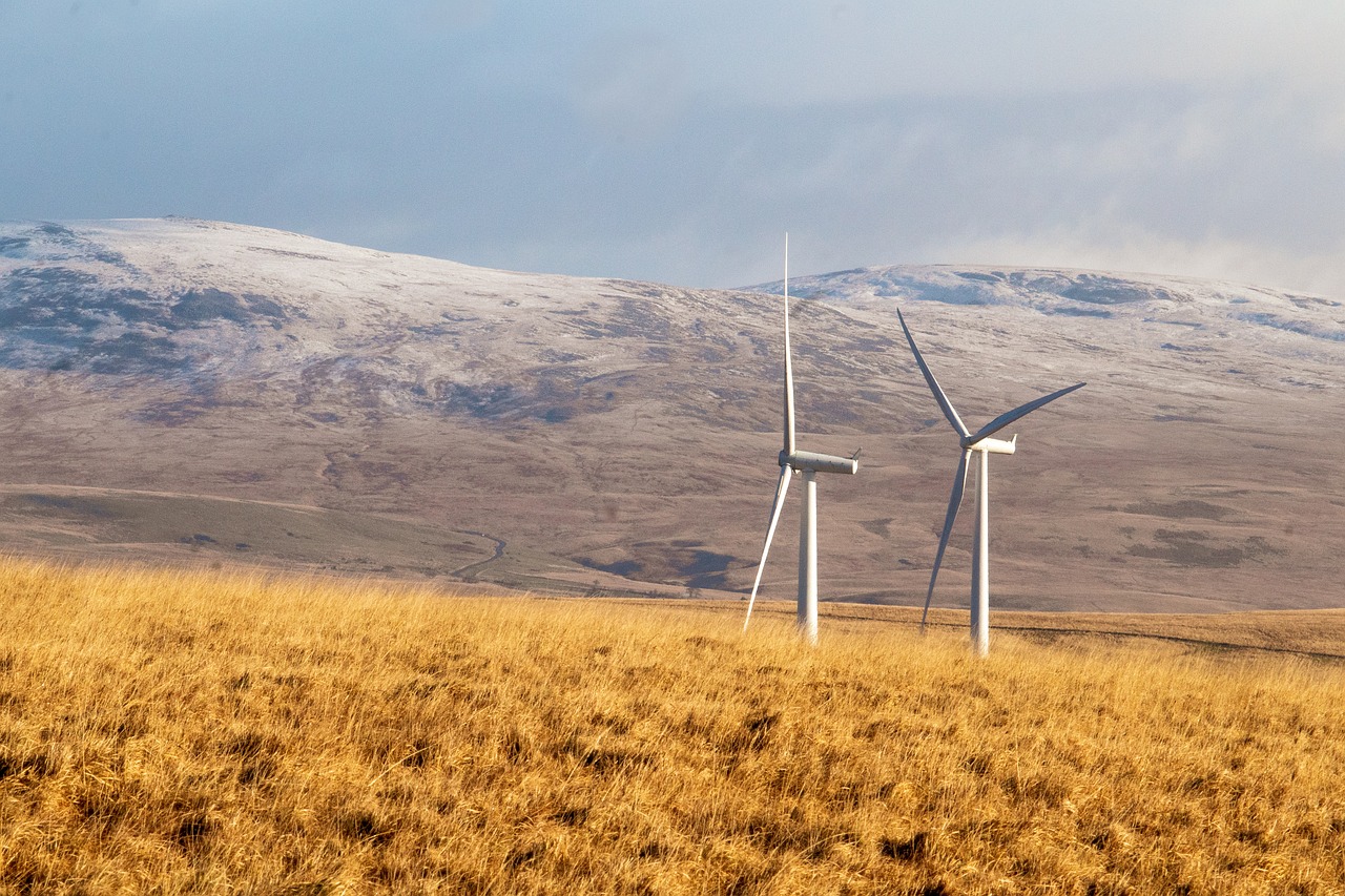 découvrez les dernières tendances et innovations en matière d'énergie renouvelable. informez-vous sur les solutions durables qui transforment notre avenir énergétique, depuis l'énergie solaire jusqu'à l'énergie éolienne.