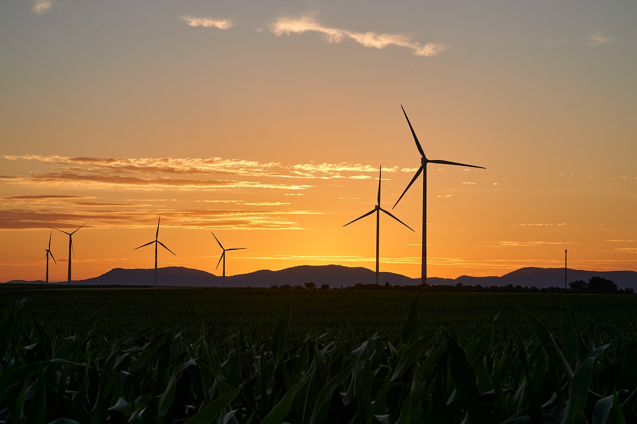 découvrez l'énergie renouvelable, une solution écologique et durable pour alimenter notre planète. explorez les différentes sources d'énergie verte, leur impact sur l'environnement et comment elles peuvent transformer notre avenir énergétique.