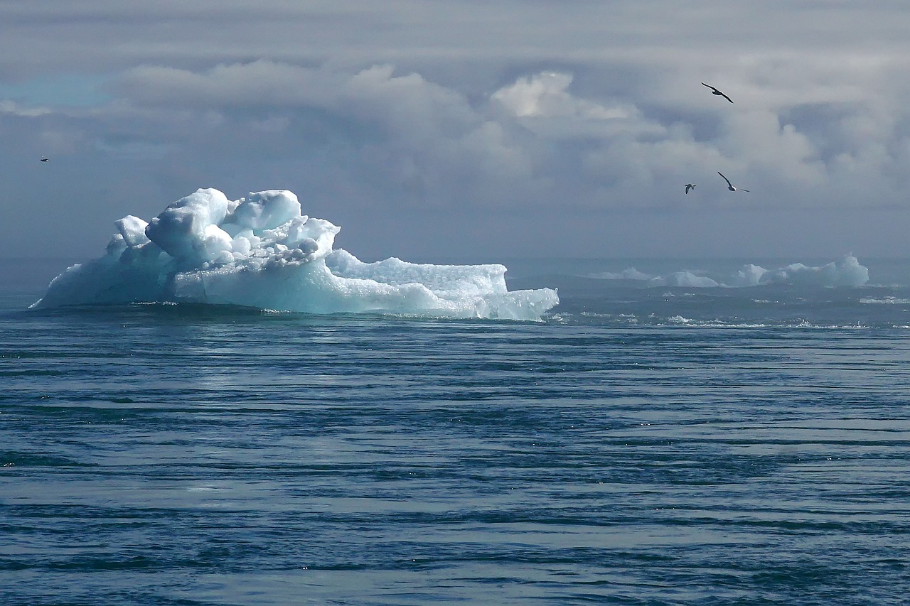 découvrez comment le climat influence notre planète, des conséquences du changement climatique aux solutions pour un avenir durable. plongez dans l'urgence d'agir pour protéger notre environnement et les récents développements scientifiques liés aux conditions climatiques.