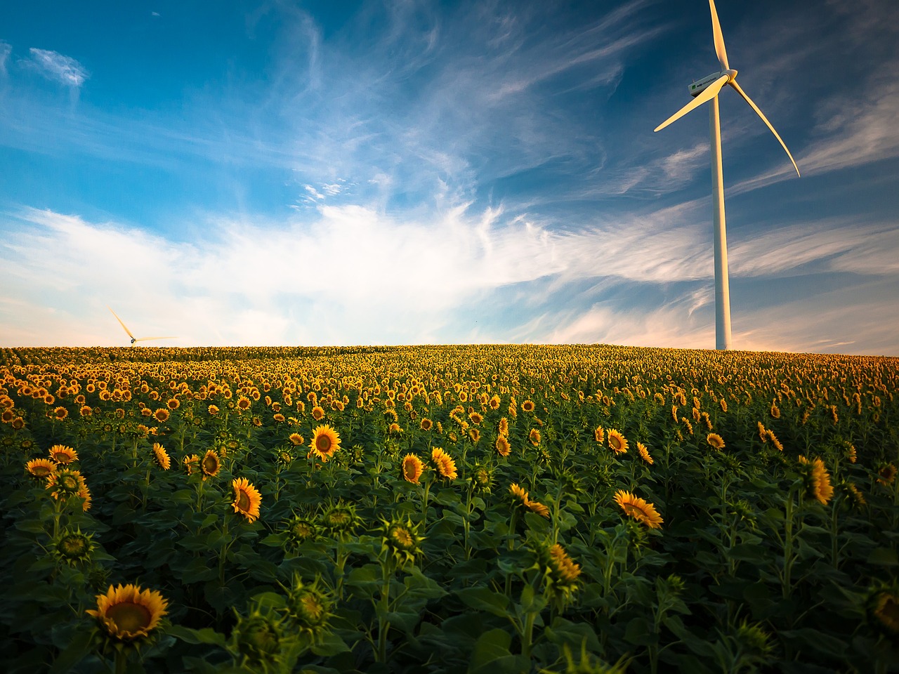 découvrez l'énergie renouvelable, une solution durable et écologique qui utilise des ressources naturelles pour produire de l'électricité. apprenez comment cette alternative aide à réduire l'empreinte carbone et à protéger notre planète, tout en offrant des opportunités économiques.