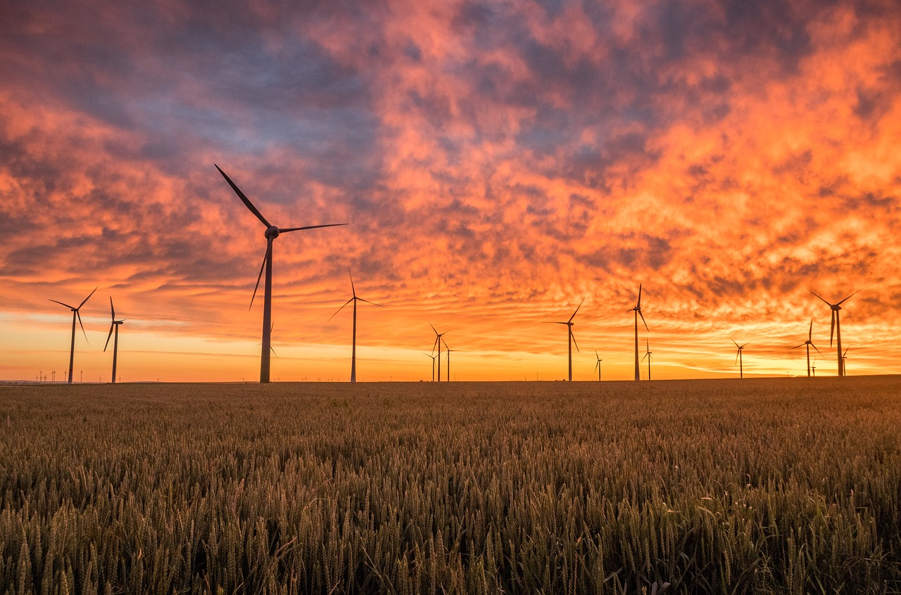 découvrez l'énergie renouvelable, la solution durable pour un avenir respectueux de l'environnement. explorez les différentes sources d'énergie verte et apprenez comment elles peuvent transformer notre société tout en réduisant notre empreinte carbone.